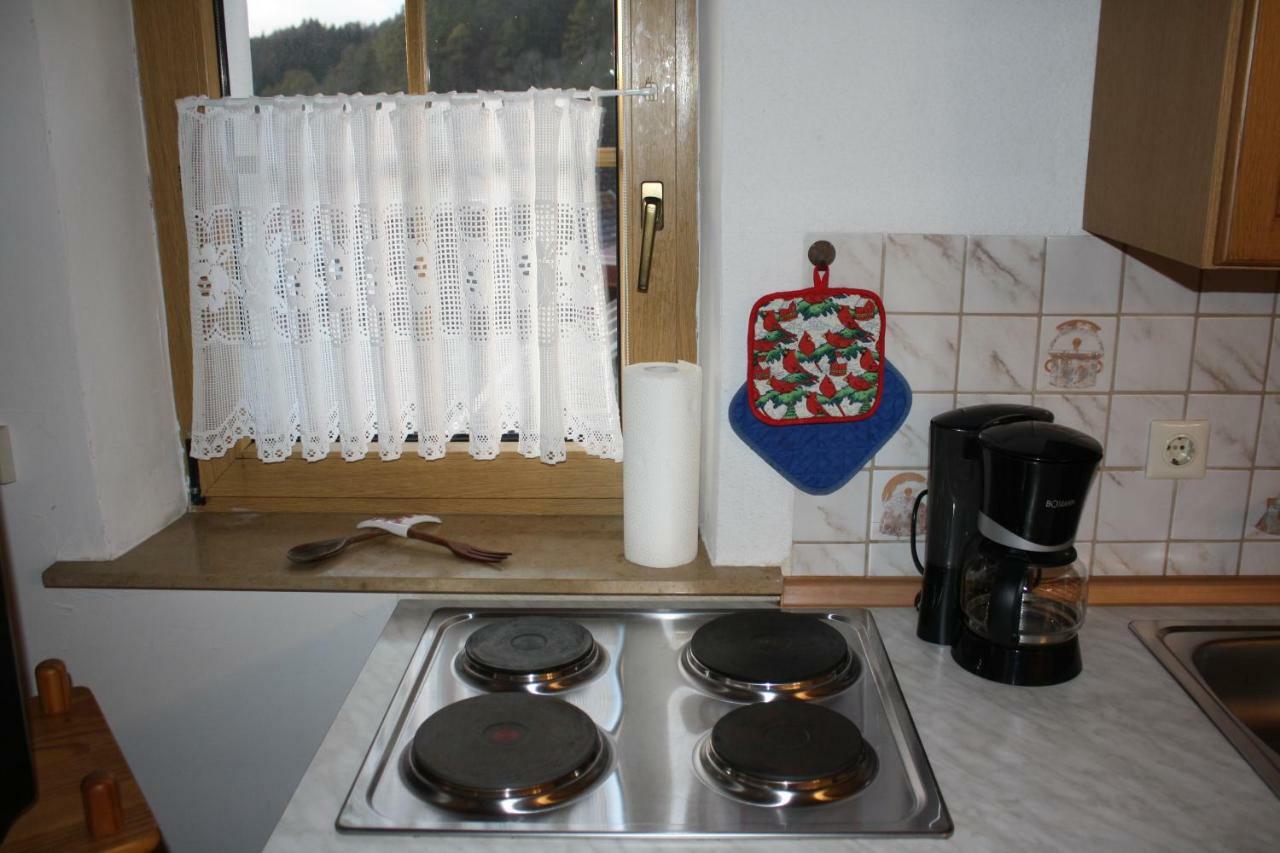 Ferienwohnung Eva Und Alexander Hirschbach  외부 사진
