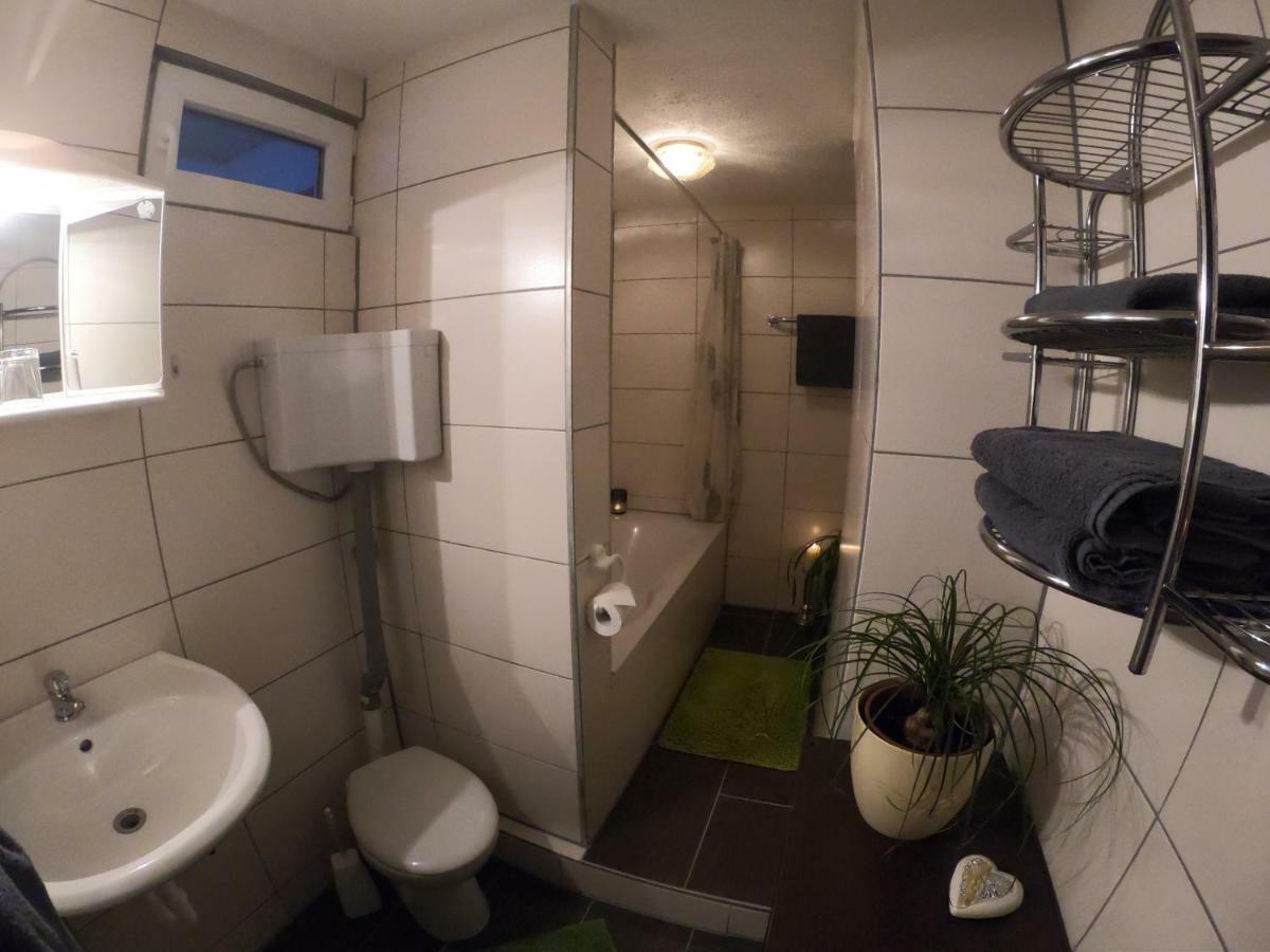 Ferienwohnung Eva Und Alexander Hirschbach  외부 사진